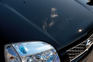 New scratches