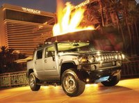 Hummer(select to view enlarged photo)