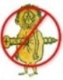 Get Smart Not Screwed