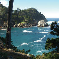 point lobos