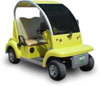 electric vehicle