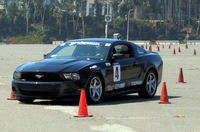 PHOTO (select to view enlarged photo)