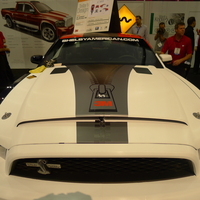 PHOTO (select to view enlarged photo)