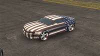 american flag (select to view enlarged photo)
