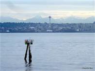 Puget sound