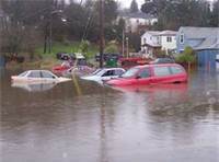 cars in flood