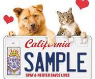 california pets