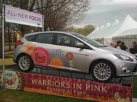 ford pink warriors