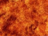 fire (select to view enlarged photo)