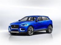 jaguar (select to view enlarged photo)