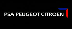 Peugoet citroen