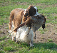 PHOTO (select to view enlarged photo)