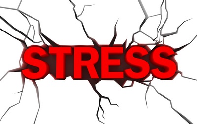 stress (select to view enlarged photo)