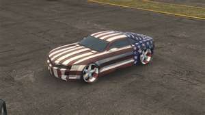 flag on car
