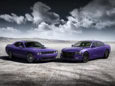 plum dodge