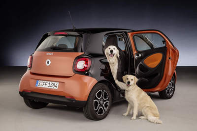 smartfour dogs (select to view enlarged photo)