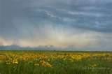 field ands ky