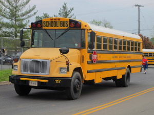 school bus