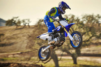 PHOTO (select to view enlarged photo)