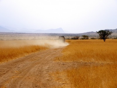 PHOTO (select to view enlarged photo)