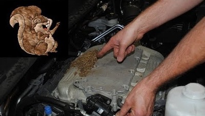 PHOTO (select to view enlarged photo)