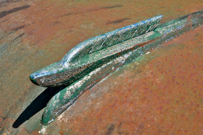 PHOTO (select to view enlarged photo)
