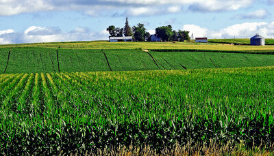 PHOTO (select to view enlarged photo)
