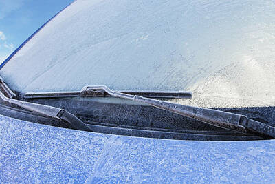 PHOTO (select to view enlarged photo)